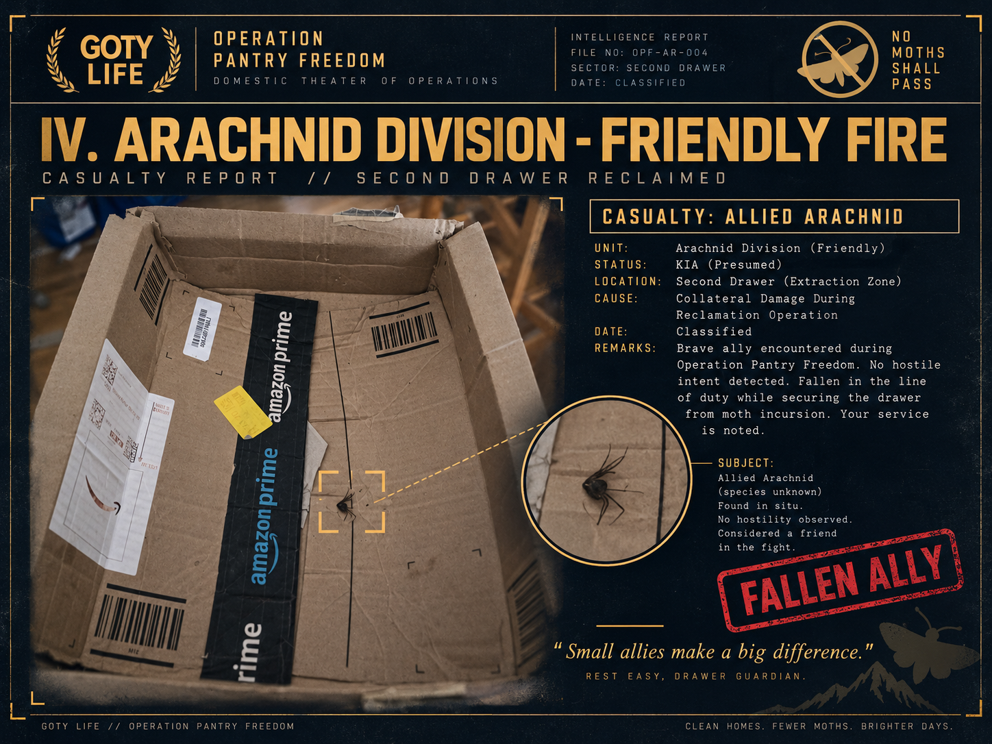 Cardboard box holding the fallen spider